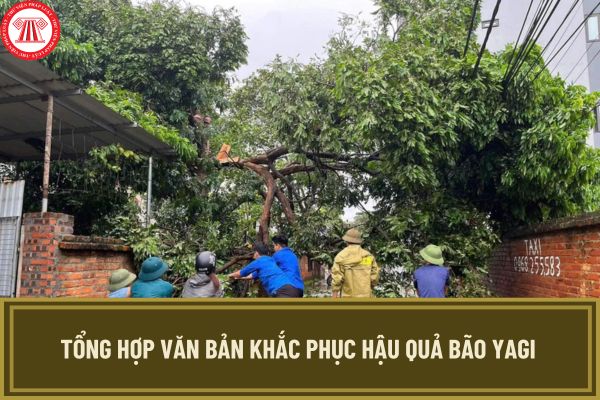 Tổng hợp văn bản khắc phục hậu quả Bão Yagi (bão số 3)? Cập nhật Công văn khắc phục hậu quả Bão Yagi?