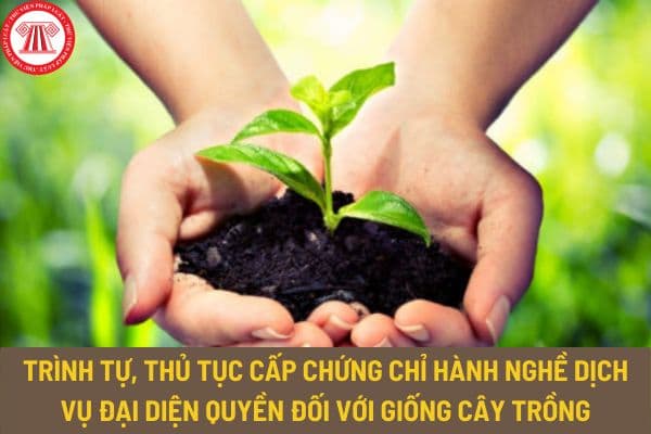 Trình tự, thủ tục cấp chứng chỉ hành nghề dịch vụ đại diện quyền đối với giống cây trồng như thế nào?