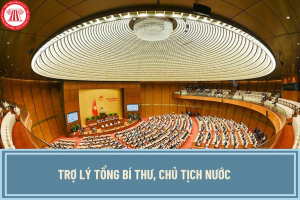 Trợ lý Tổng Bí thư, Chủ tịch nước là ai? Tiêu chuẩn của trợ lý Tổng Bí thư, Chủ tịch nước là gì?