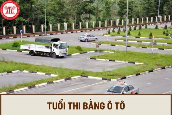 Bao nhiêu tuổi được thi bằng ô tô? Bằng lái xe ô tô hiện nay bao gồm các hạng nào theo quy định?