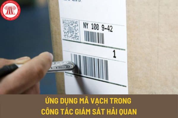 Ứng dụng mã vạch trong công tác giám sát hải quan? Lợi ích của việc ứng dụng mã vạch trong công tác giám sát hải quan là gì?