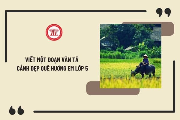 Viết một đoạn văn tả cảnh đẹp quê hương em lớp 5 hay, chọn lọc? Tuổi của học sinh lớp 5 là bao nhiêu?