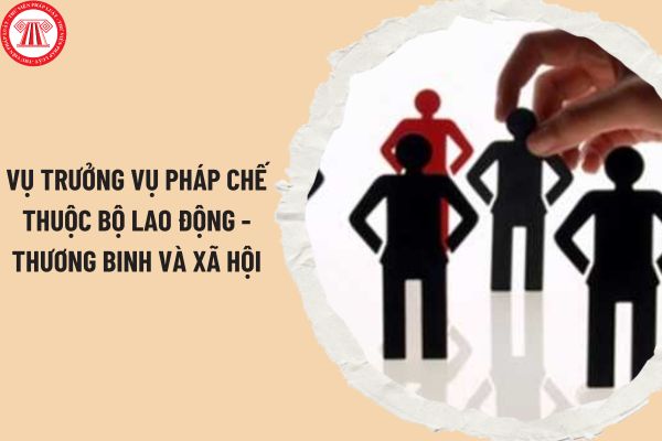 Vụ trưởng Vụ Pháp chế thuộc Bộ Lao động - Thương binh và Xã hội cố ý làm lộ bí mật nhà nước có thể bị phạt tù bao nhiêu năm?