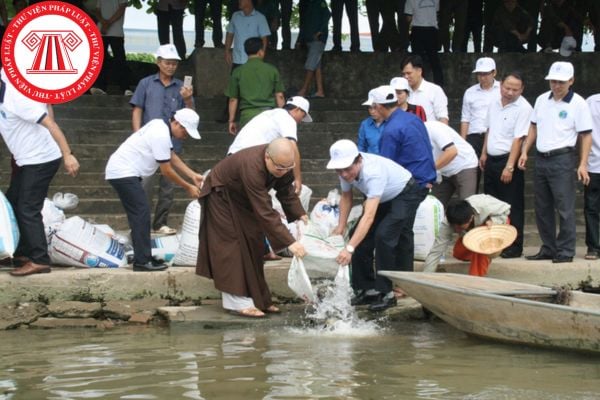 Hoạt động của khu bảo vệ nguồn lợi thủy sản diễn ra như thế nào?