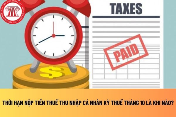 Pháp luật