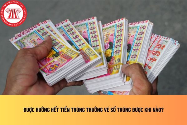 Pháp luật