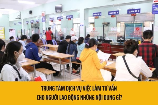 Trung tâm dịch vụ việc làm tư vấn cho người lao động những nội dung gì?