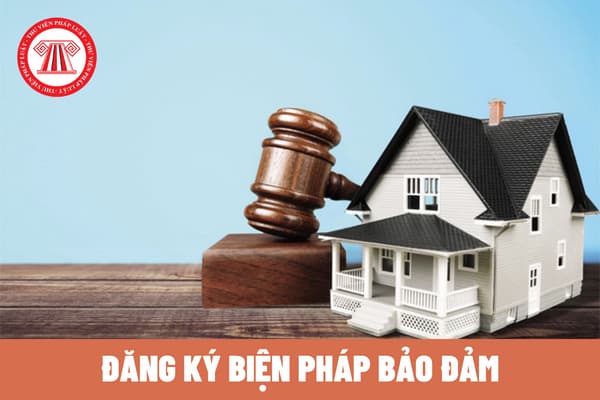 Bổ sung thêm cơ quan đăng ký biện pháp bảo đảm từ ngày 15/01/2023? Cung cấp thông tin đăng ký biện pháp bảo đảm theo nguyên tắc nào?