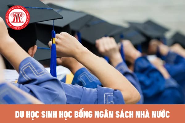 Năm 2023, tiêu chuẩn du học sinh học bổng ngân sách nhà nước như thế nào? Trách nhiệm của du học sinh học bổng ngân sách nhà nước? 