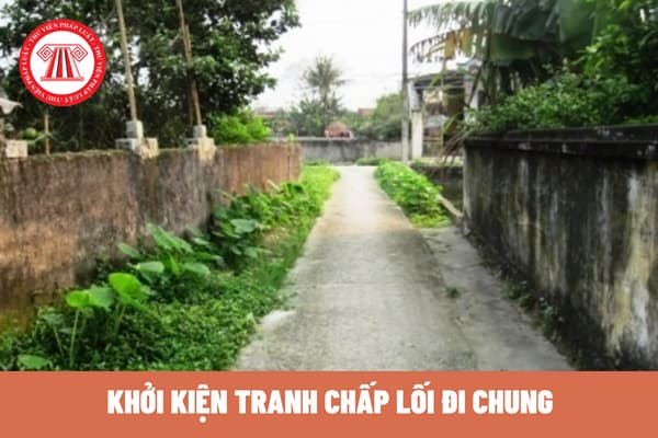 Chưa hòa giải thì có khởi kiện tranh chấp lối đi chung được không? Hòa giải tranh chấp lối đi chung tại cơ quan nào? 