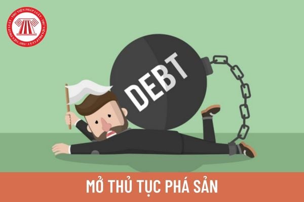 Doanh nghiệp mất khả năng thanh toán mở thủ tục phá sản thì có phải làm kiểm toán báo cáo tài chính không? 