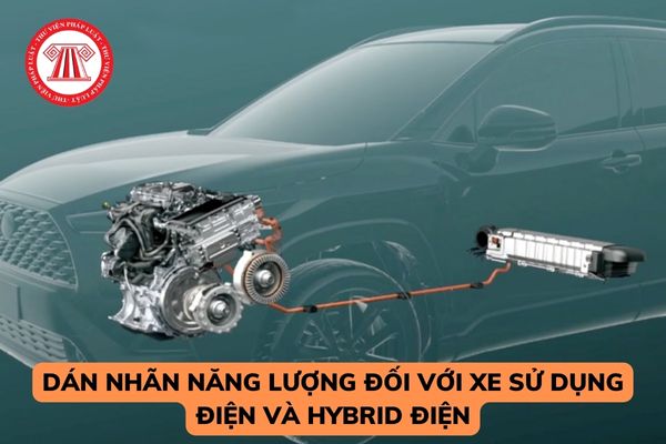 Ban hành hướng dẫn về dán nhãn năng lượng đối với xe ô tô con, xe mô tô, xe gắn máy sử dụng điện và hybrid điện? 