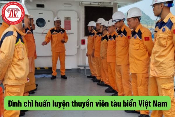Đình chỉ huấn luyện thuyền viên tàu biển Việt Nam