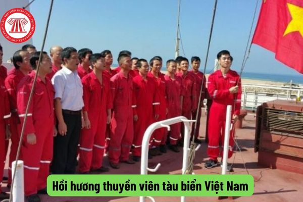 Hồi hương thuyền viên tàu biển Việt Nam