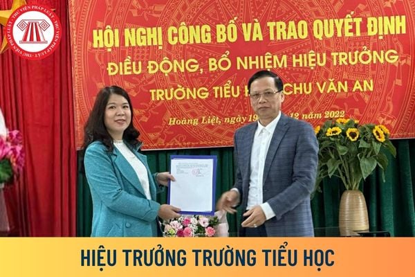 hiệu trưởng trường tiểu học