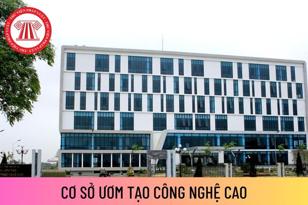 Cơ sở ươm tạo công nghệ cao