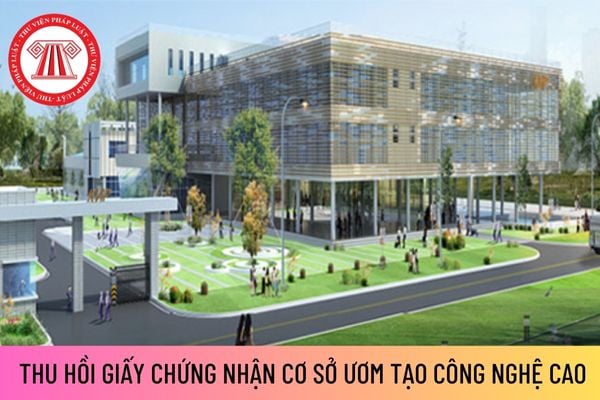 thu hồi GCN