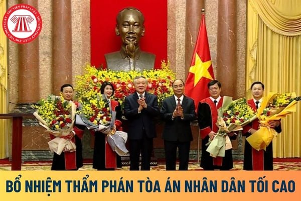 Bổ nhiệm Thẩm phán Tòa án nhân dân tối cao