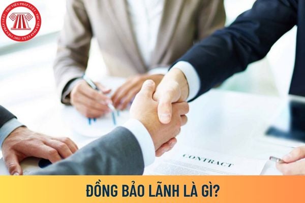 Đồng bảo lãnh là gì