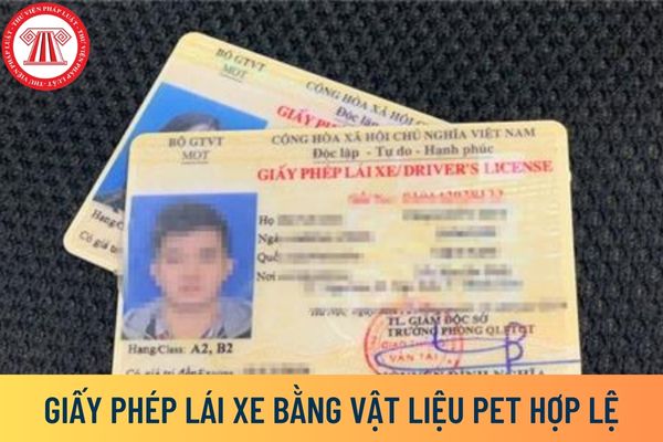giấy phép lái xe PET
