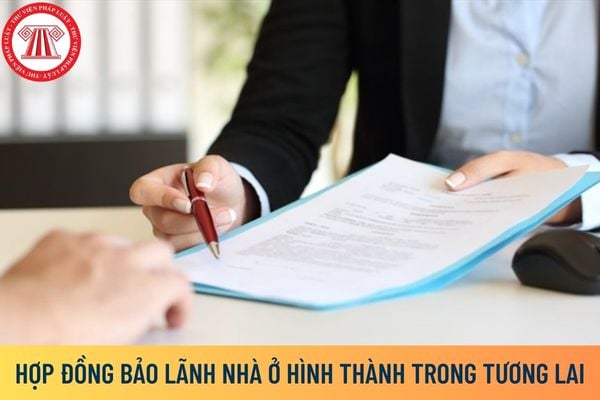 Hợp đồng bảo lãnh là gì? 