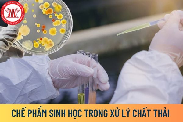 chế phẩm sinh học xử lý chất thải