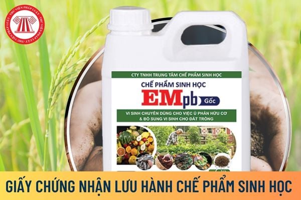 Giấy chứng nhận lưu hành chế phẩm sinh học trong xử lý chất thải tại Việt Nam