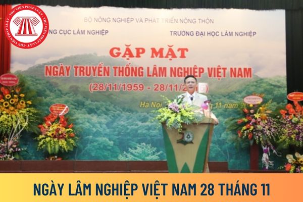 Ngày Lâm nghiệp Việt Nam 28 tháng 11