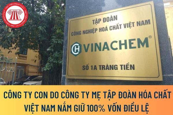 công ty con do Công ty mẹ Tập đoàn hóa chất Việt Nam nắm giữ 100% vốn điều lệ