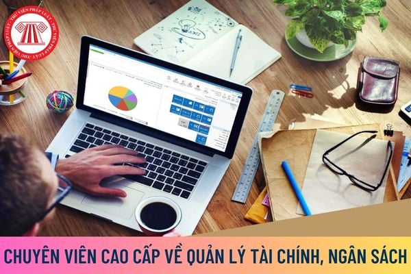 Chuyên viên cao cấp về quản lý tài chính, ngân sách