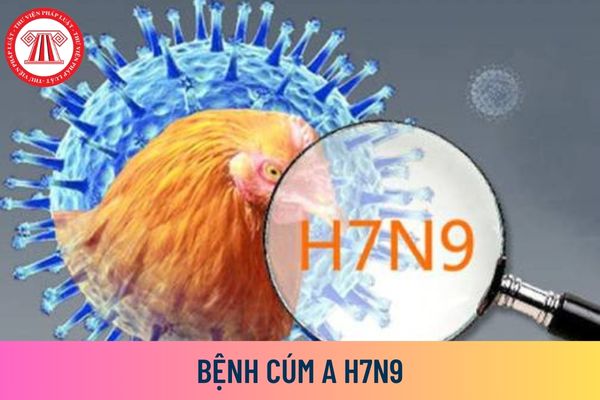 bệnh cúm A H7N9