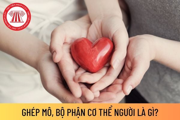 Ghép mô, bộ phận cơ thể người