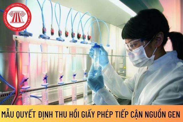 thu hồi giấy phép tiếp cận nguồn gen