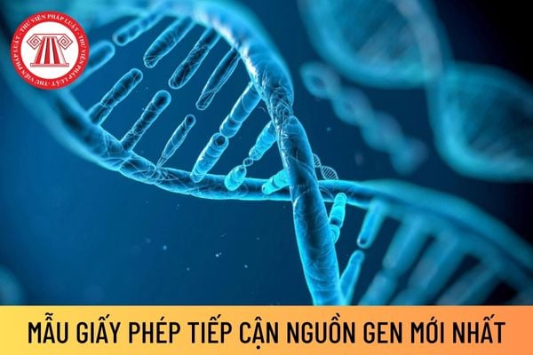 Mẫu giấy phép tiếp cận nguồn gen