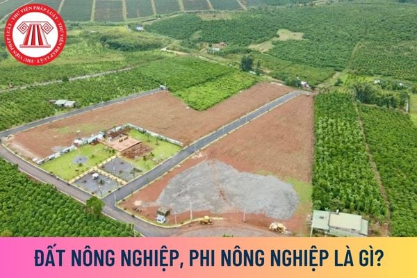 đất nông nghiệp, đất phi nông nghiệp