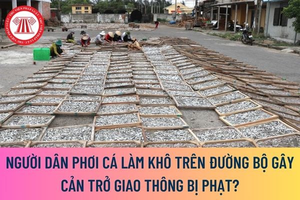 Người dân phơi cá làm khô trên đường bộ gây cản trở giao thông