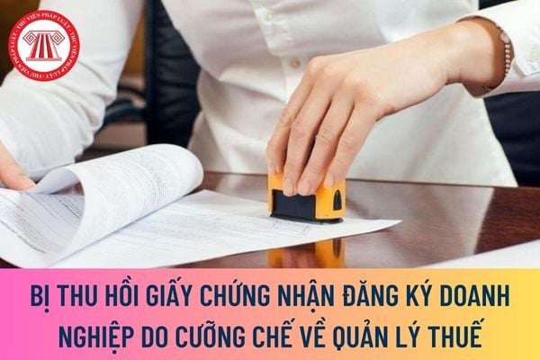 Bị thu hồi Giấy chứng nhận đăng ký doanh nghiệp do cưỡng chế về quản lý thuế