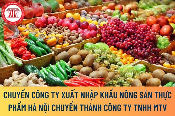 công ty Xuất nhập khẩu Nông sản Thực phẩm