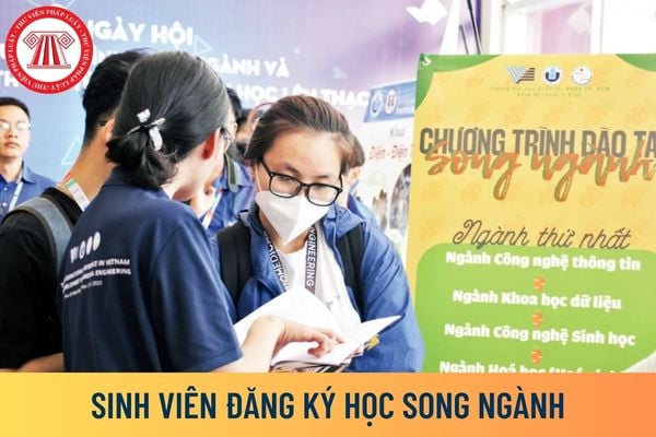 Sinh viên học song ngành