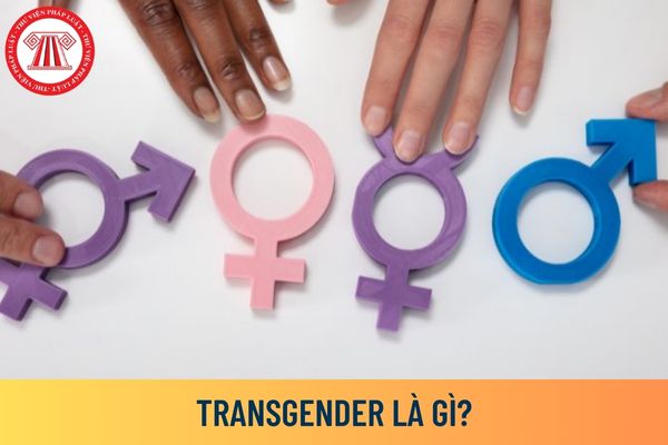 Transgender là gì