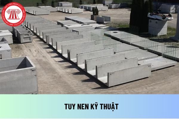 Tuy nen kỹ thuật