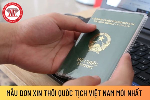 mẫu Đơn xin thôi quốc tịch Việt Nam