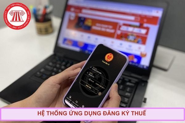 Pháp luật