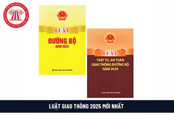 Pháp luật