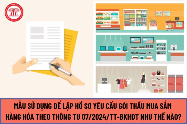 Mẫu sử dụng để lập hồ sơ yêu cầu gói thầu mua sắm hàng hóa theo Thông tư 07/2024/TT-BKHĐT như thế nào?