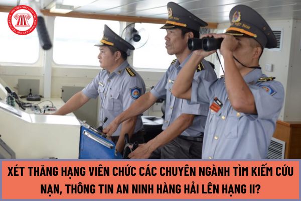 Tiêu chuẩn, điều kiện xét thăng hạng viên chức các chuyên ngành tìm kiếm cứu nạn, thông tin an ninh hàng hải lên hạng II năm 2024 như thế nào?