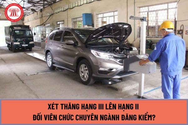 Xét thăng hạng III lên hạng II đối viên chức chuyên ngành đăng kiểm từ ngày 15/7/2024 cần đáp ứng tiêu chuẩn, điều kiện gì?