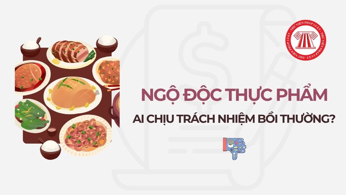 Pháp luật