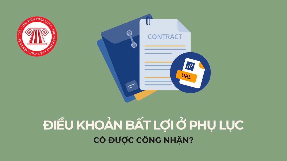 Pháp luật
