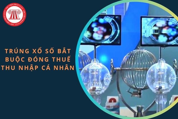 Pháp luật